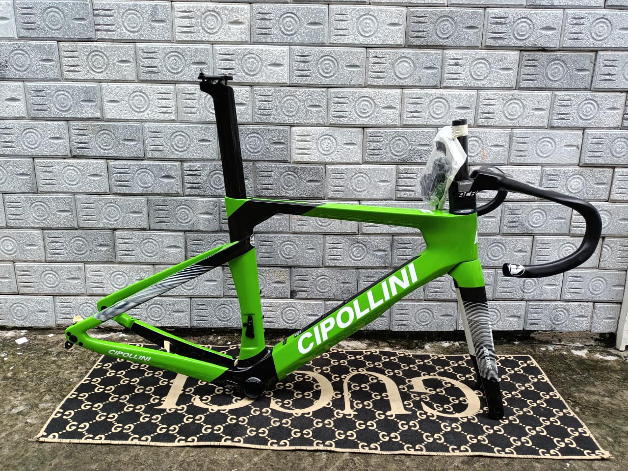 CIPOLLINI XANH LÁ