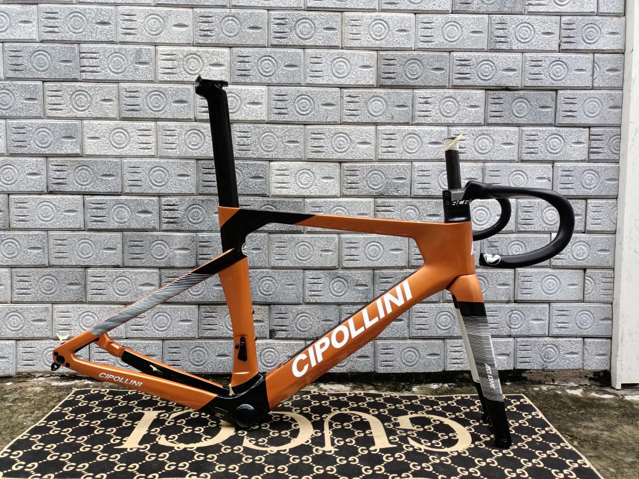 CIPOLLINI CAM ĐẤT