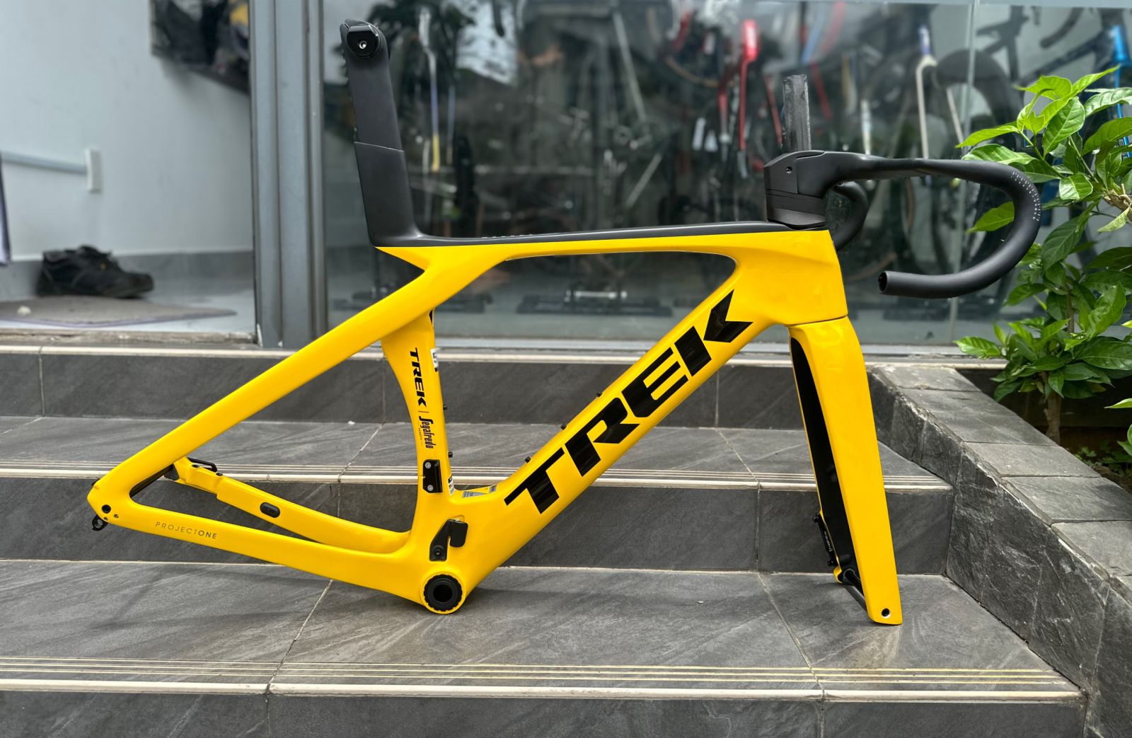 TREK MADONE GEN 7 VÀNG ĐEN