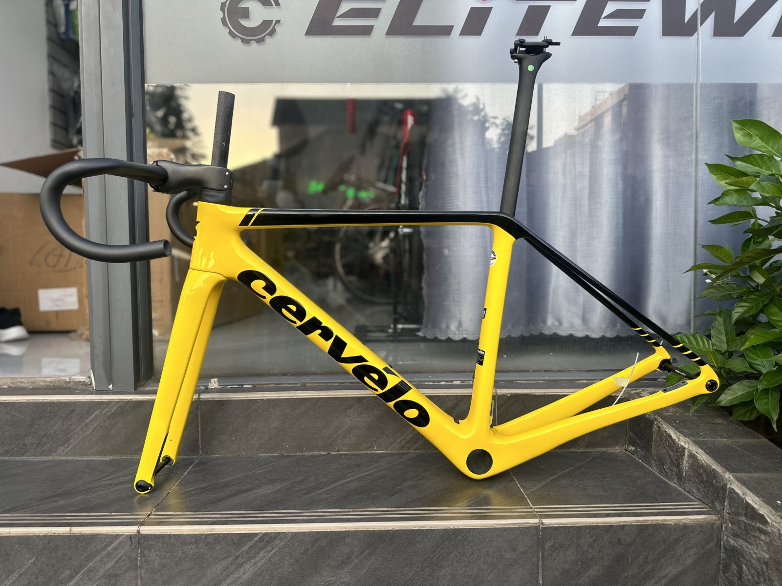 CERVELO R5 VÀNG ĐEN