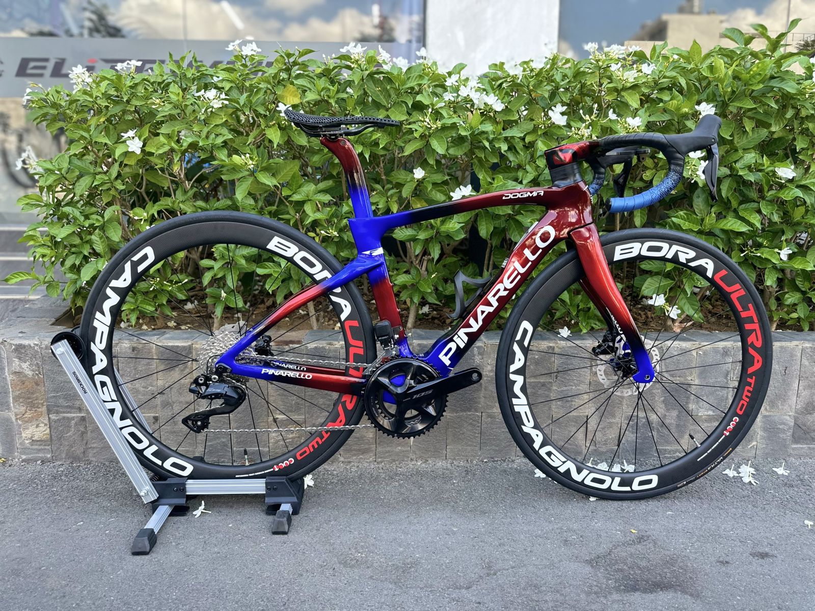 DOGMA F14 + GROUP 105 R7170 + BÁNH CAMPAGNOLO